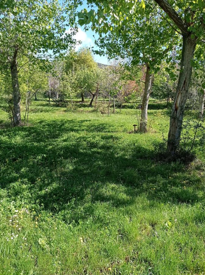 Camping Yaso-Guara Exteriör bild